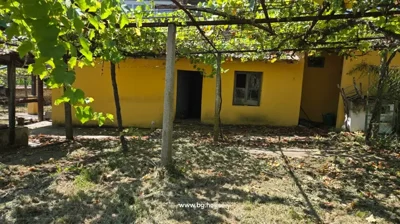 Yellow-painted building with open doorway and window, grapevines growing on trellises in front