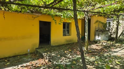 Yellow-painted building with open doorway and window, grapevines on trellises casting shadows on ground
