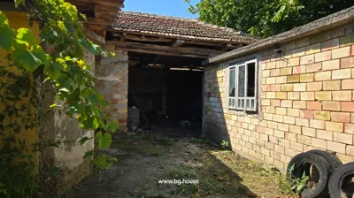 Open courtyard area with brick walls, grapevines overhead, and tires on ground