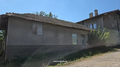 View of the single-story extension of the house with windows and a door, surrounded by grass and plants.
