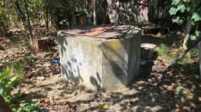 A concrete well with a rusty metal cover surrounded by dry leaves, trees, and garden items.