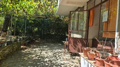 Patio area with an open door, several potted plants on a ledge, a stone wall, and shaded by trees.