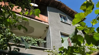 View of a three-storey house facade with a balcony and grapevine leaves in the foreground.