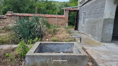 Side of house showing a concrete well, brick wall, plants, and concrete ground.