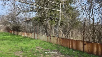 A metal fence with rusted panels and wire mesh, with leafless trees and bushes growing behind it, and grass in the foreground.