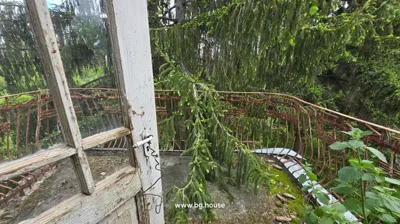 Open wooden door leading to a balcony with a curved metal railing and overgrown tree branches