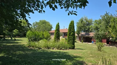 View of a garden with various trees and shrubs, and a house with a tiled roof in the background under a clear blue sky.