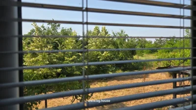 View of a garden area with trees and dry grass seen through window blinds