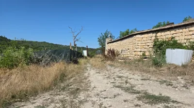 Dirt path with dry grass, stone wall on right, green mesh fence on left, and metal gate at end