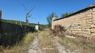 Dirt path with dry grass, stone wall on right, green mesh fence on left, and metal gate at end with trees beyond