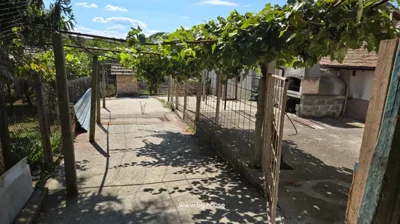 Courtyard featuring grapevine trellis, metal fencing, brick structure, and outdoor oven.