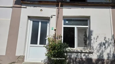 White building wall with beige stripes, door, window, and small bush in front under sunlight.