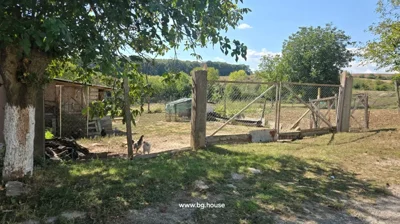 Wire mesh fenced area with gate, trees, small wooden structure, and chickens inside under daylight.