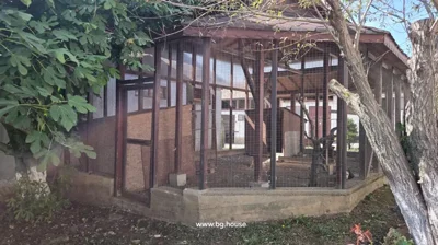 Large cage structure with wire mesh and wooden frame, located outdoors with surrounding trees and plants.