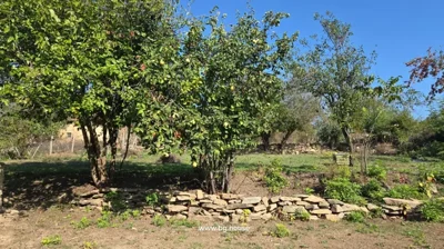 Garden area featuring several trees with fruit and a low stone wall under a clear blue sky.