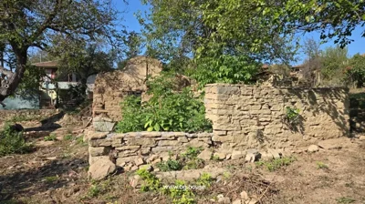 Ruins of stone walls partially covered with plants and surrounded by trees and garden vegetation.