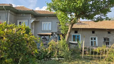 Two-storey house with gray walls and tiled roof, garden plants and a tree in front under blue sky.