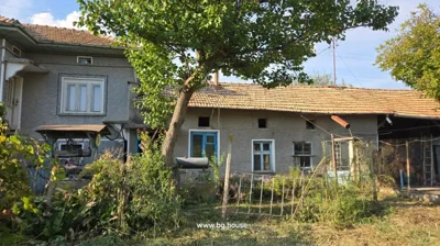 Two-storey house with gray walls and tiled roof, garden plants, tree, and fenced area under blue sky.
