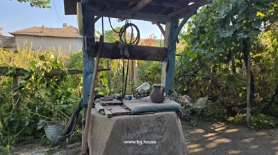 A traditional water well with a wooden beam and pulley, located in a garden area with plants and trees around.