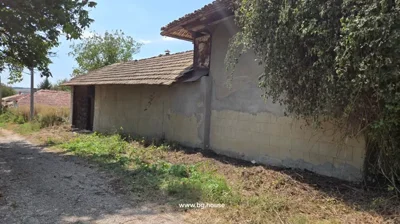 Side view of traditional house showing wall, roof, and surrounding vegetation along a dirt road