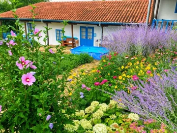 View of a garden filled with various colorful flowers and a small blue pool, with a white house featuring blue doors and windows and a red tiled roof in the background.