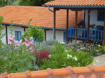 A garden with a variety of flowers in front of a white house with blue window frames and a covered porch furnished with wicker chairs and a small table.