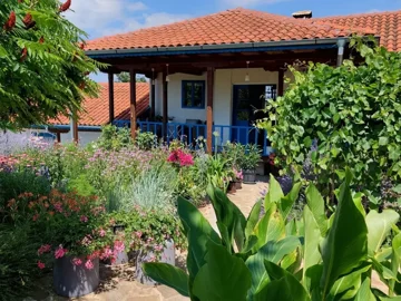 View of a house with a red tiled roof and a porch with blue railings, surrounded by a garden with various flowering plants and green foliage.