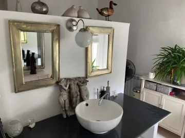 Bathroom sink area showing two framed mirrors, a round white basin with a faucet, and decorative sculptures and plants on the countertop and shelf.
