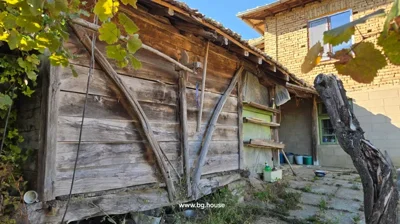 Close-up view of a wooden shed exterior with grapevine leaves hanging in front