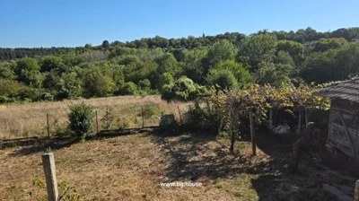View of a garden area featuring dry grass, trees, and a wooden shed on the right