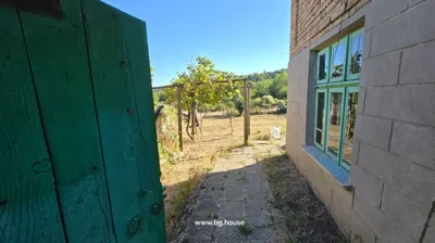 Green wooden gate partially open showing paved path, grapevine trellis, and garden area with trees and bushes