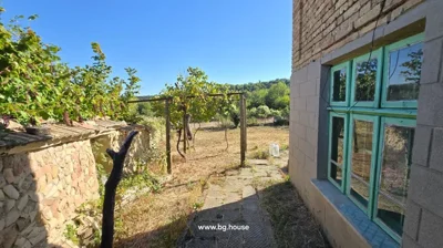 Paved path along house wall with green window frames, grapevine trellis, and garden area with trees and bushes