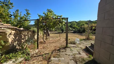 Garden area with paved path, grapevine trellis, dry grass, and stone wall under clear sky