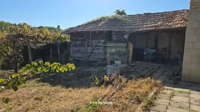 An old wooden shed with a tiled roof and an outdoor water tap in front, surrounded by dry grass and some green plants.