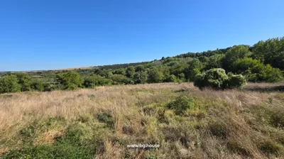An open field covered with dry grass and surrounded by green trees and hills under a clear blue sky.