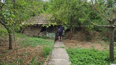 Man standing near a wooden shed in a garden with trees and grass