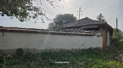 White plastered wall with a tiled roof structure behind it, surrounded by grass and plants.