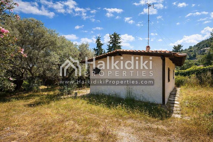 Image No.2-Appartement de 1 chambre à vendre à Halkidiki