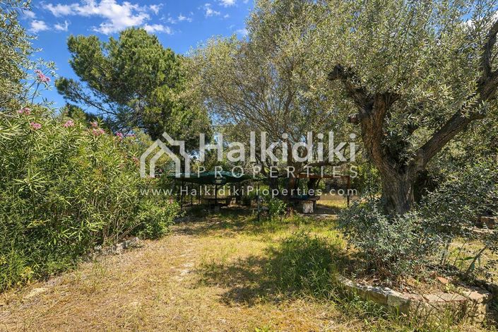 Image No.3-Appartement de 1 chambre à vendre à Halkidiki