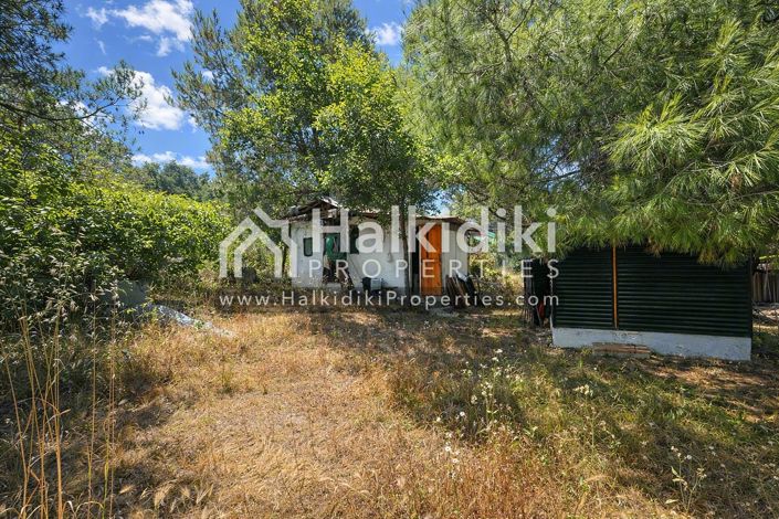 Image No.6-Appartement de 1 chambre à vendre à Halkidiki
