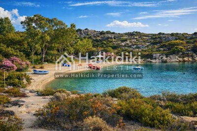 beach-view