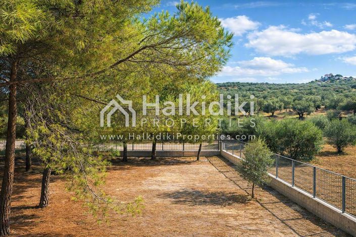 Image No.14-Appartement de 4 chambres à vendre à Halkidiki