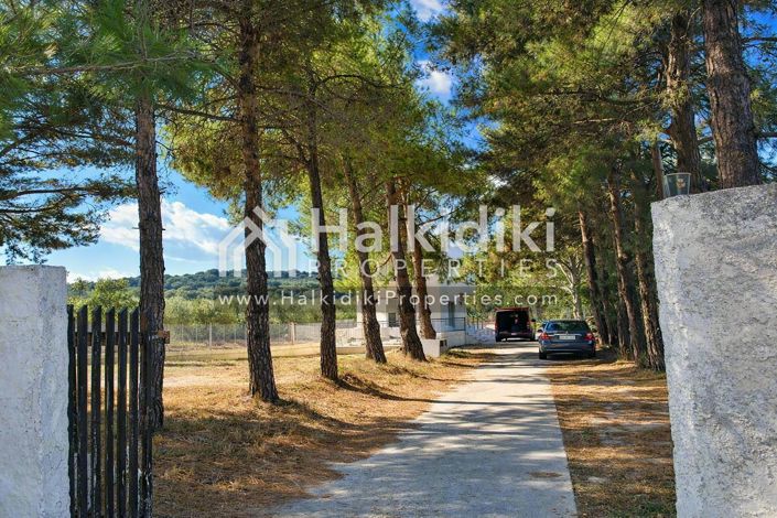 Image No.6-Appartement de 4 chambres à vendre à Halkidiki
