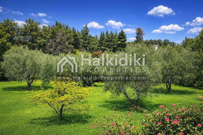 Image No.3-Appartement de 2 chambres à vendre à Halkidiki
