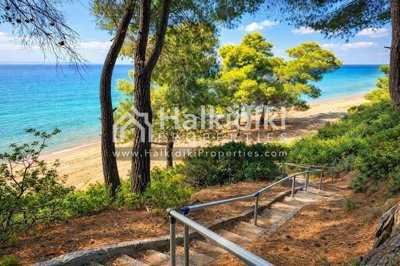 beach-view