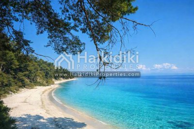 beach-view