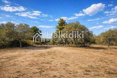 land-plot