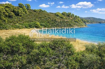 beach-view