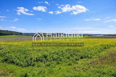 land-plot
