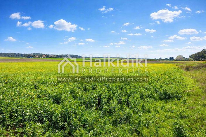 Image No.15-Land for sale